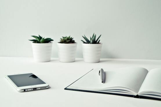 Potted plants in an office